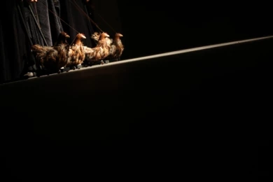 گزارش تصویری نمایش رومولوس کبیر