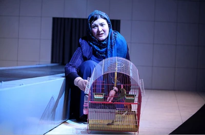 گزارش تصویری

نمایش 
