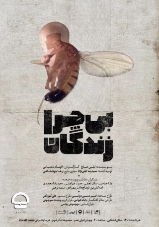 تالار قشقایی؛

"بی چرا زندگان" 
نویسنده: لیلی عاج | کارگردان: الهام شعبانی 
آغاز اجرا: 2 خرداد | پایان اجرا: 7 تیر | ساعت اجرا: 20 | مدت اجرا: 80 دقیقه | قیمت بلیت: 60 هزار تومان